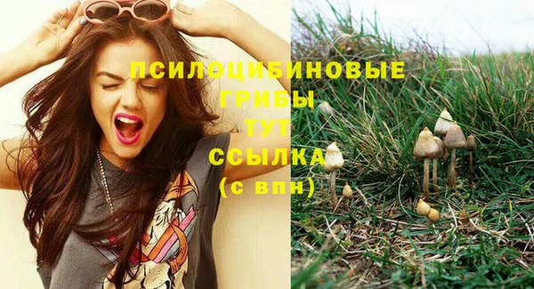 молекула духа Алексин