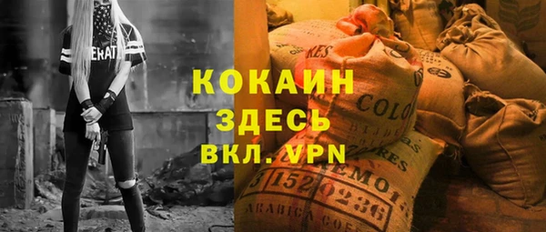 молекула духа Алексин