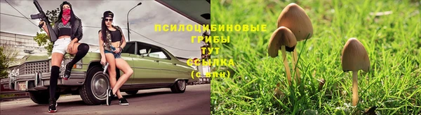 молекула духа Алексин