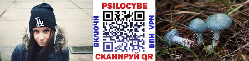 сайты даркнета телеграм Рубцовск Галлюциногенные грибы Cubensis