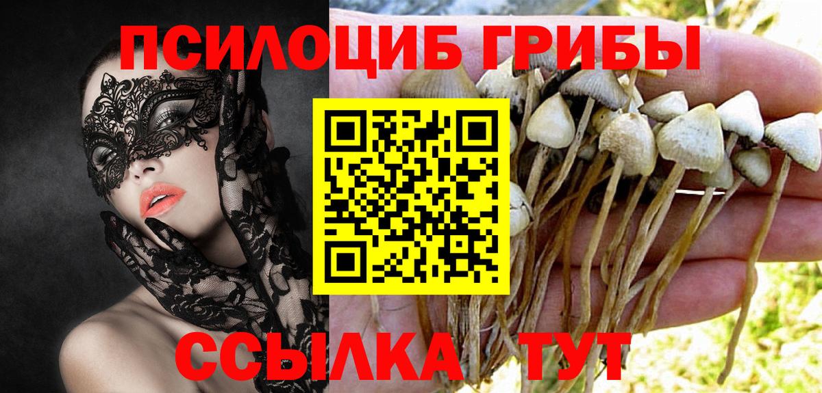Псилоцибиновые грибы GOLDEN TEACHER Рубцовск