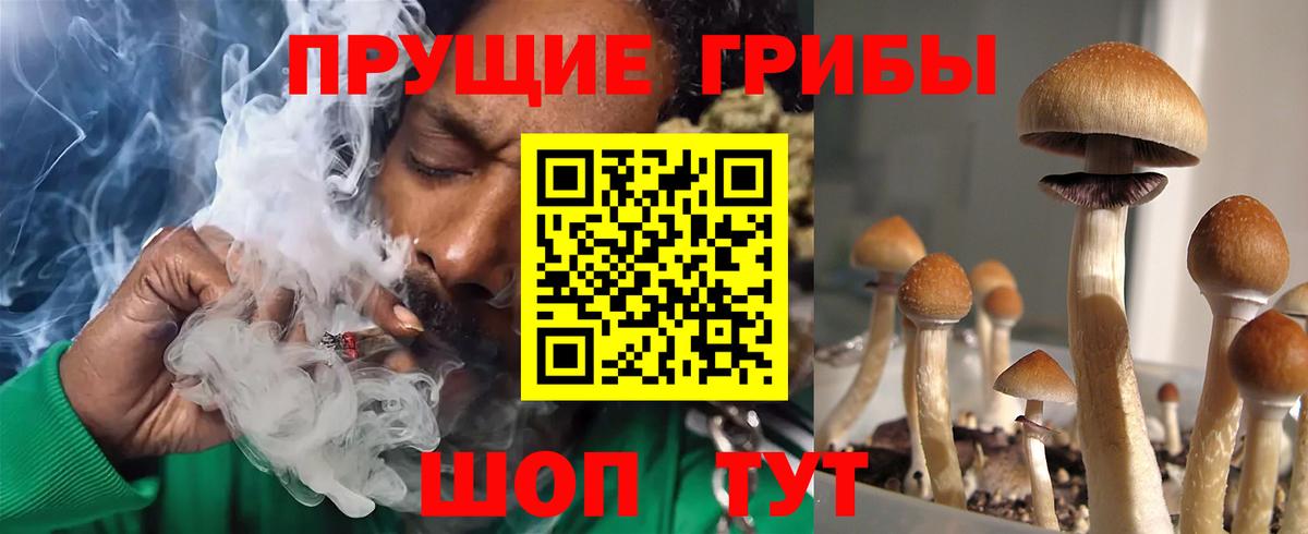 Псилоцибиновые грибы мухоморы  Вход с VPN  Рубцовск 